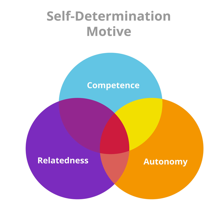 <i>Mô hình Thuyết Tự quyết (Self-Determination Theory - SDT) của Deci & Ryan. </i>