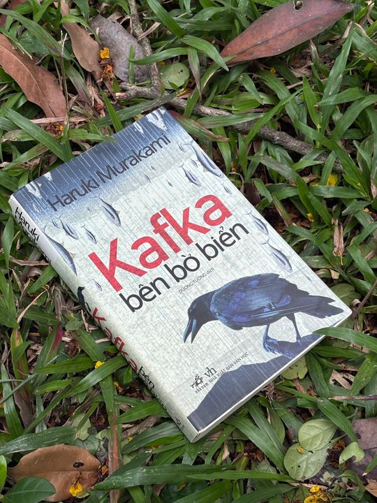 Nguồn: người viết tự cung cấp