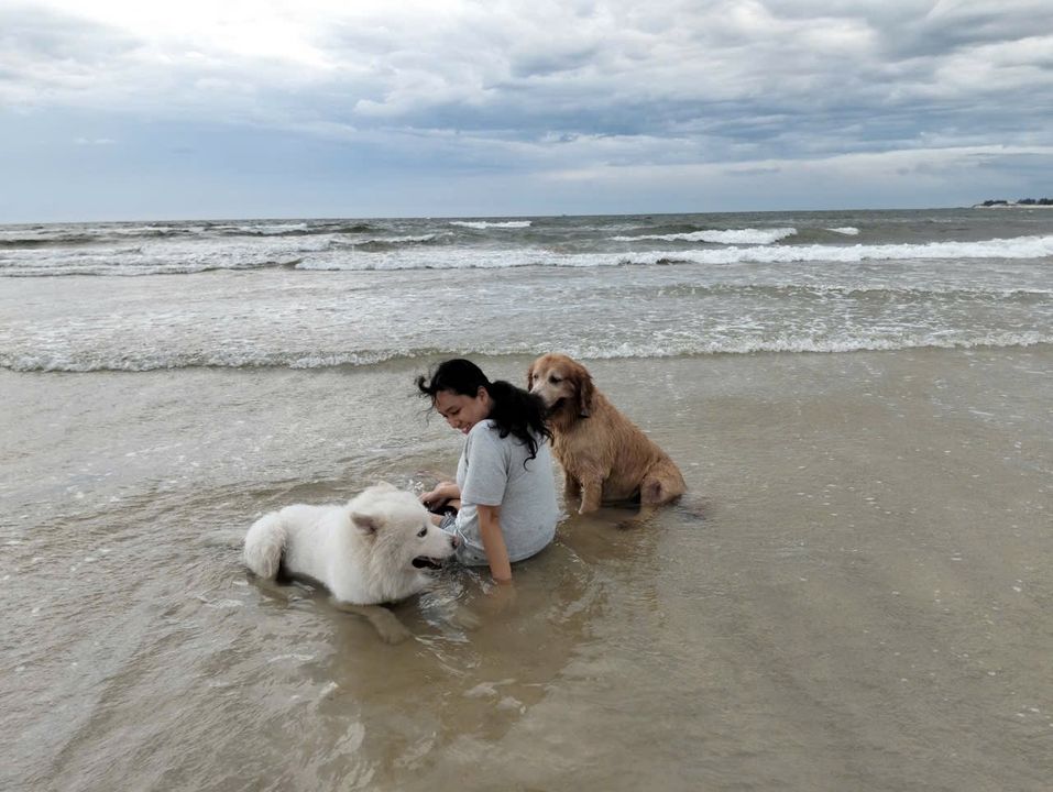 Chuyến đi chơi cuối cùng của Will. Cùng mình và anh Bi