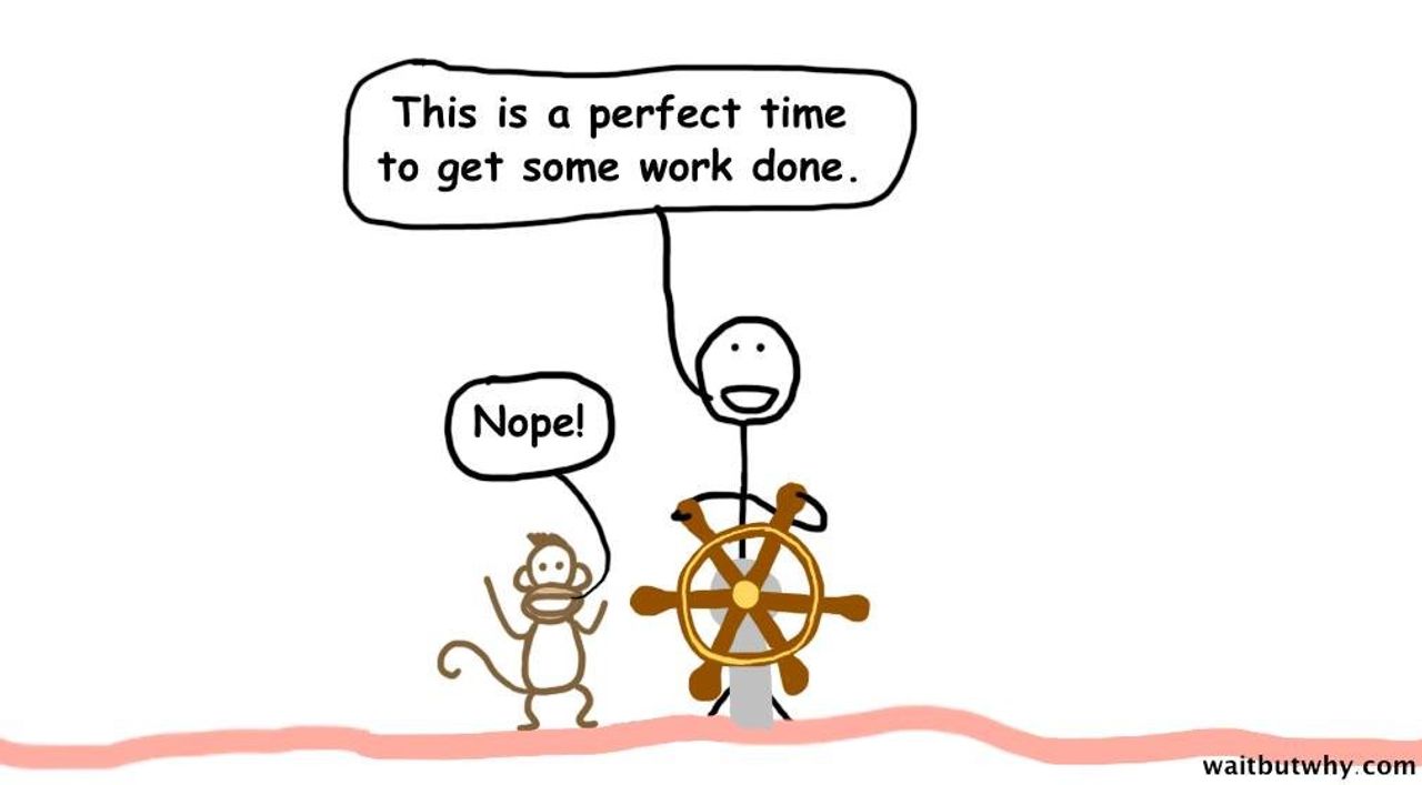 

Con Người Lý Trí: 'Giờ gảnh quá nè làm xí bài tập đi."     Khỉ: "Đ**" 😉