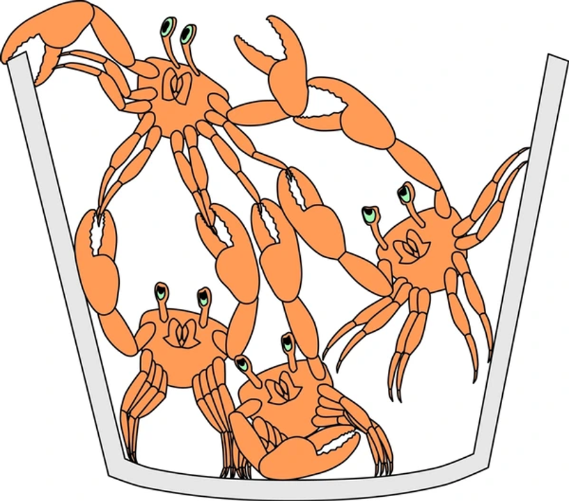 Kéo nó xuống ae!