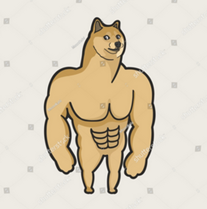 Nguồn: Cheems Cơ Bắp.