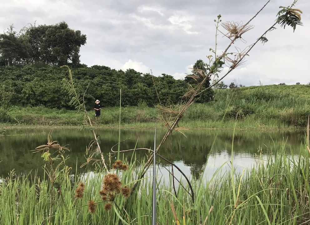 Ảnh tôi câu cá trong một dịp về quê nhà