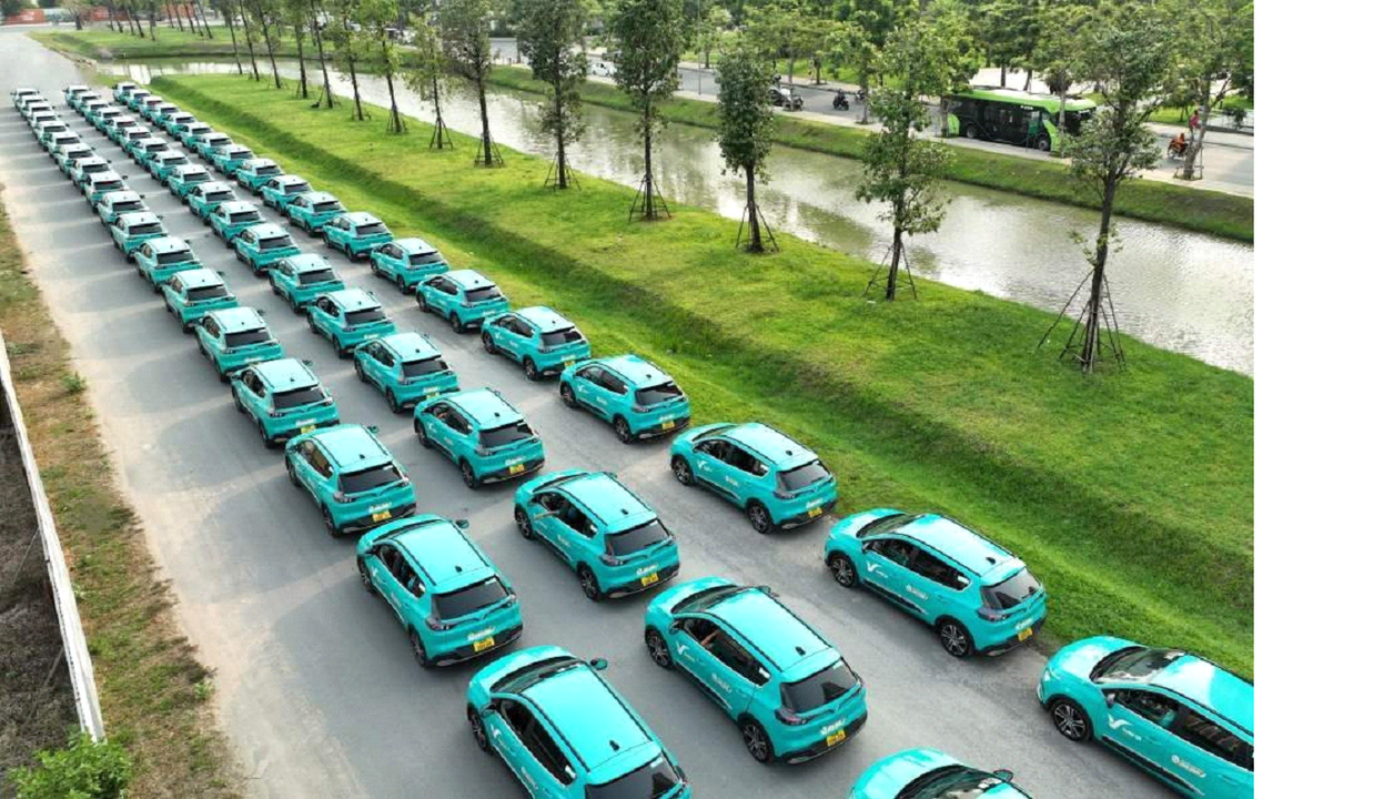 Dù số liệu sổ sách và quảng cáo rầm rộ , công ty vẫn có những nhược điểm nghiêm trọng