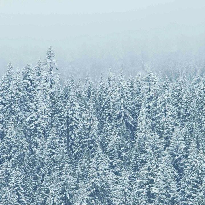 Đối xử lạnh lùng với nhau là do hết yêu hay thiếu tử tế?