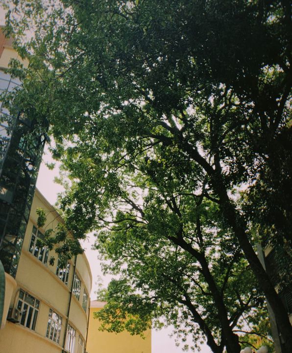 <i>Nguồn: Chiến Sĩ FTU - BUNG (ảnh chụp đoạn sân trước canteen)</i>