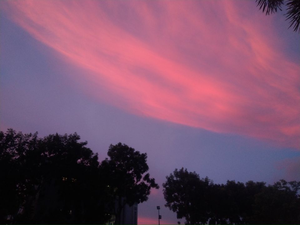 Bầu trời hồng miền cực Nam thật đẹp, như hy vọng về một tương lai tốt đẹp hơn.