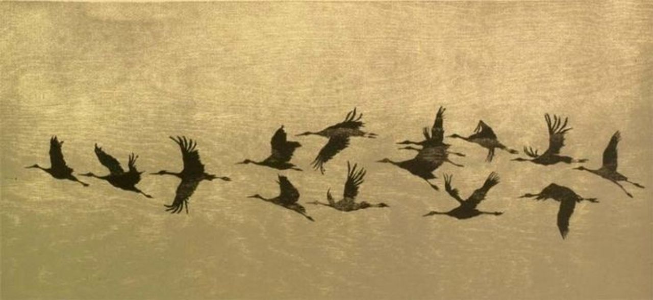 nguồn ảnh: <a href="https://pin.it/5JYbofNjC">pinterest.com</a>