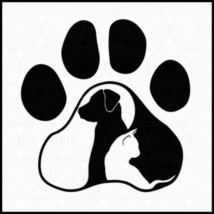 <i>Cô mèo tôi yêu cũng có những tổn thương...</i>