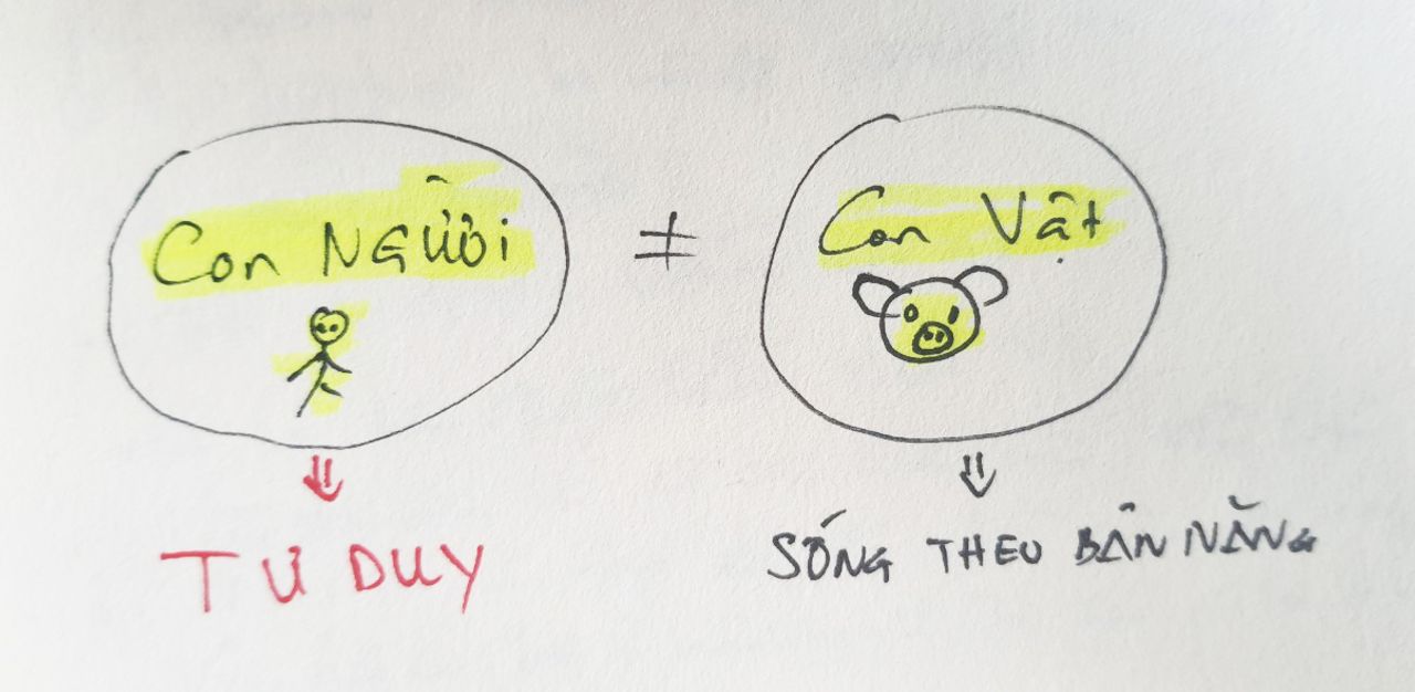 Khác biệt giữa con người và con vật