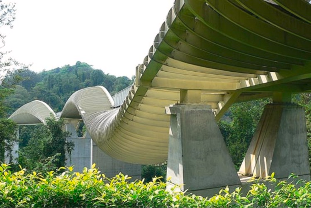 Hình chôm trên mạng để mọi người thấy được sự độc đáo của cây cầu này