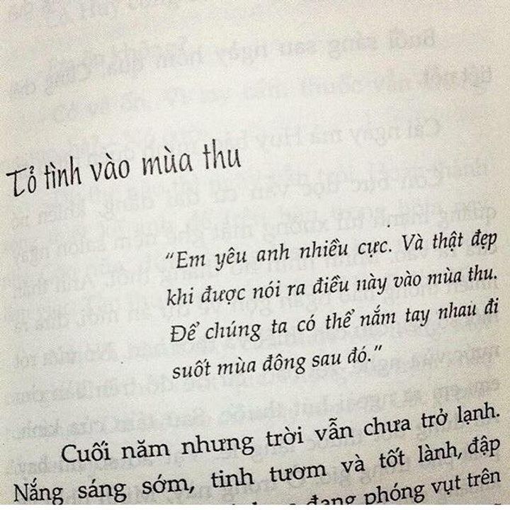 <i>Tỏ tình vào mùa thu, nắm tay suốt mùa đông, tăng cân trong mùa tết, và chia tay vì trời hè oi bức à?</i>