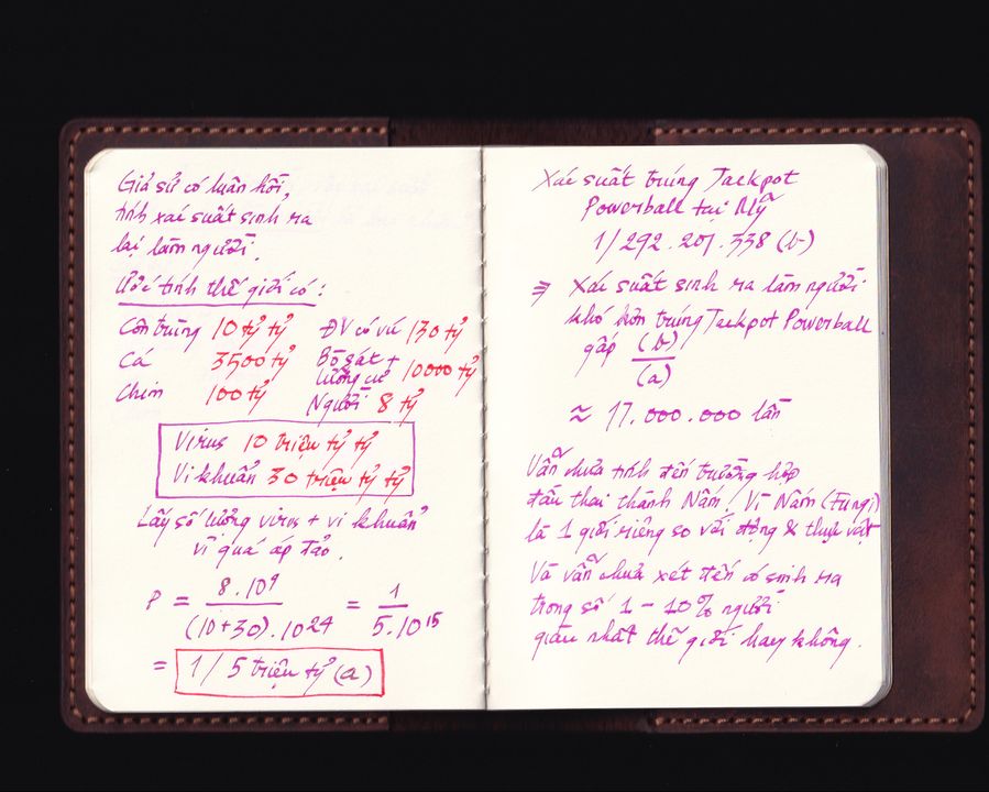 Thật hài hước khi nghĩ “kiếp sau có thể gặp lại nhau” đúng không? Chúng ta đã sống trong những định kiến quá lâu đến nỗi tự tưởng tượng ra những đặc quyền cho riêng thế giới loài người. Như bạn thấy, thi thoảng chúng ta chỉ cần gạt những khái niệm mơ hồ sâu xa, và làm chút phép tính, là đủ để thấy cuộc sống này quá kỳ diệu để có thể hoang phí hoặc để cho người khác lợi dụng.