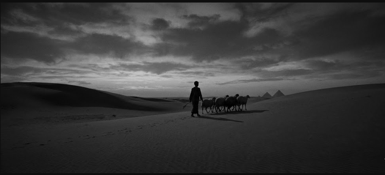 <i>Sa mạc không chỉ có kho báu, nó có những cơn bão cát sẵn sàng vùi lấp những kẻ yếu lòng.</i>