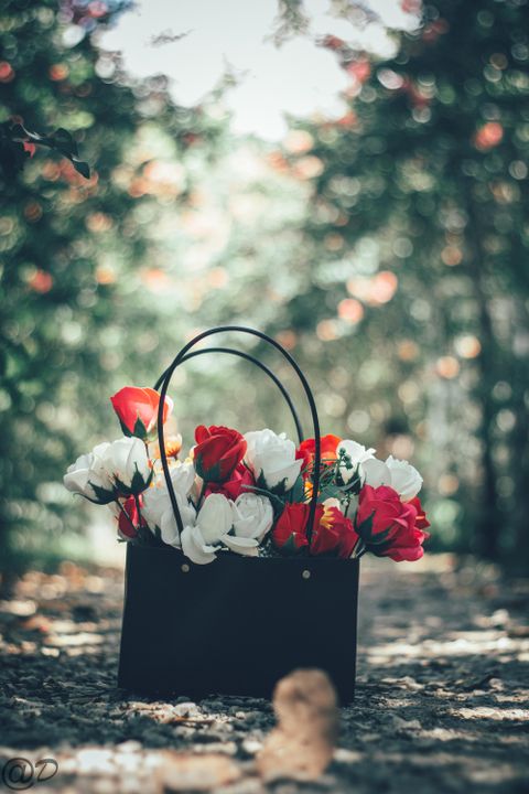 " Dù bạn có làm gì, cũng đừng quay lại với những gì đã làm bạn tan vỡ." - Frank Ocean