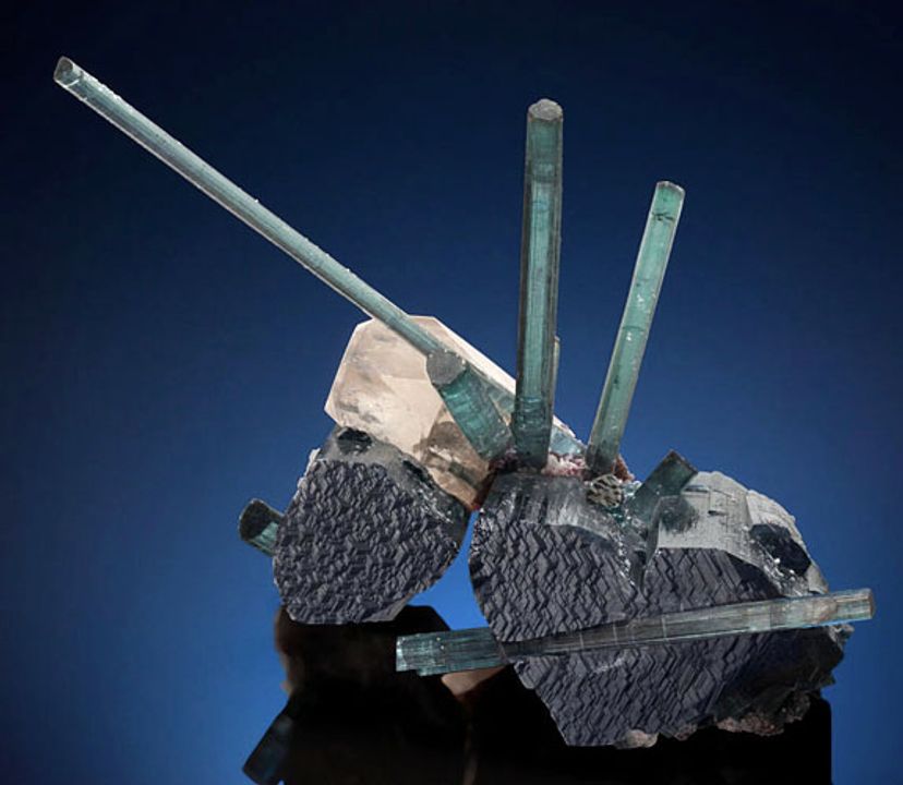 Tourmaline trên Tourmaline vớithạch anh, 2001.Mỏ Pederneira, São José da Safira, Minas Gerais, Brazil.5,5 x 9,1 x 6,3 inch (14 x 23 x 16 cm)Từ Bộ sưu tập Gerhard Wagner