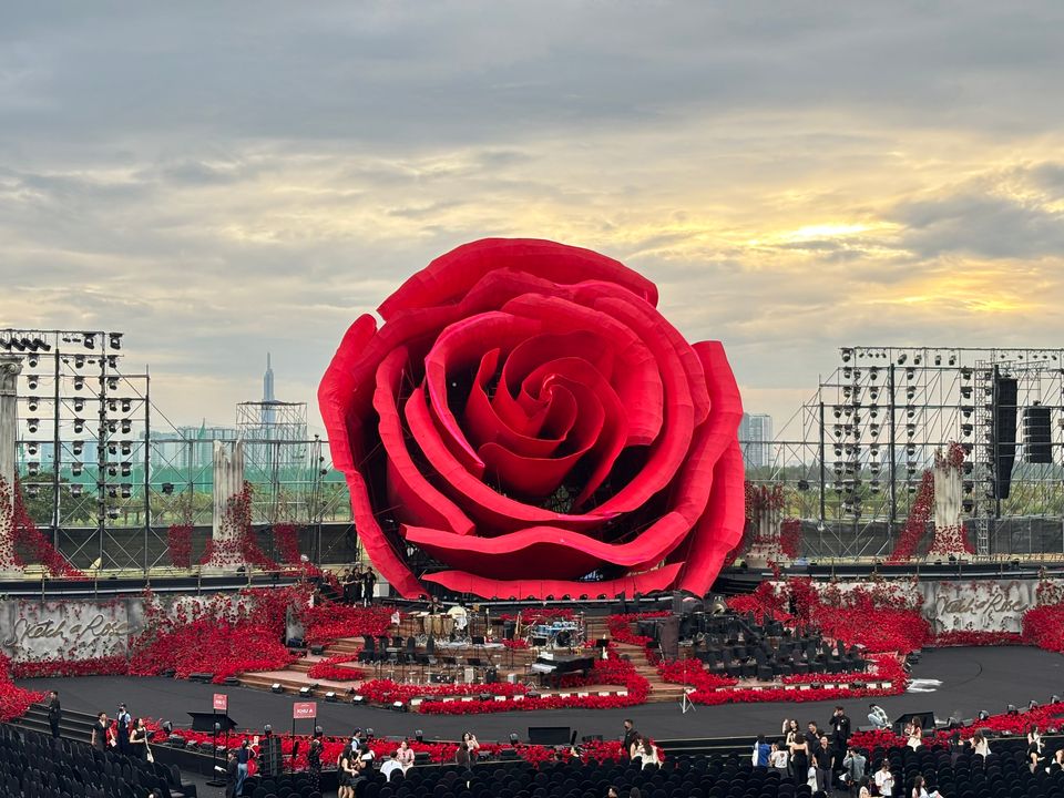 Sketch A (giant) Rose in HCM - with HAT èn YIRUMA