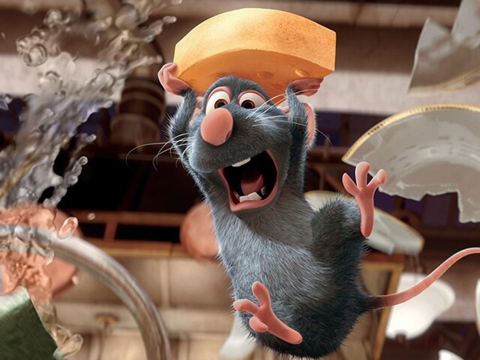 <i>Nói về loài chuột nhưng nhưng thực chất là đang ngẫm về loài người.</i>