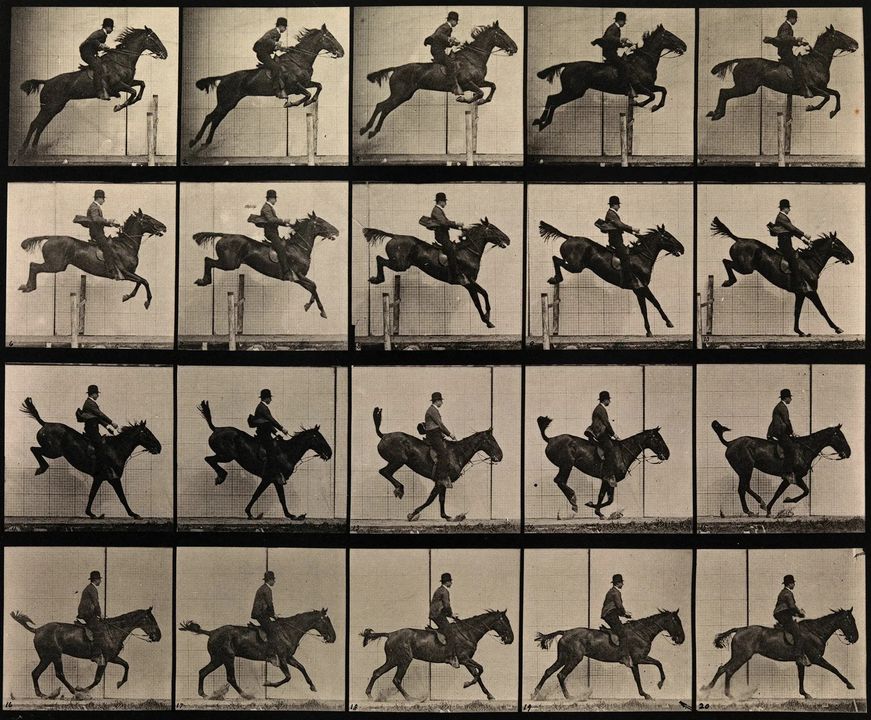 <i>Loạt ảnh Con ngựa đang chạy của Eadweard Muybridge</i>