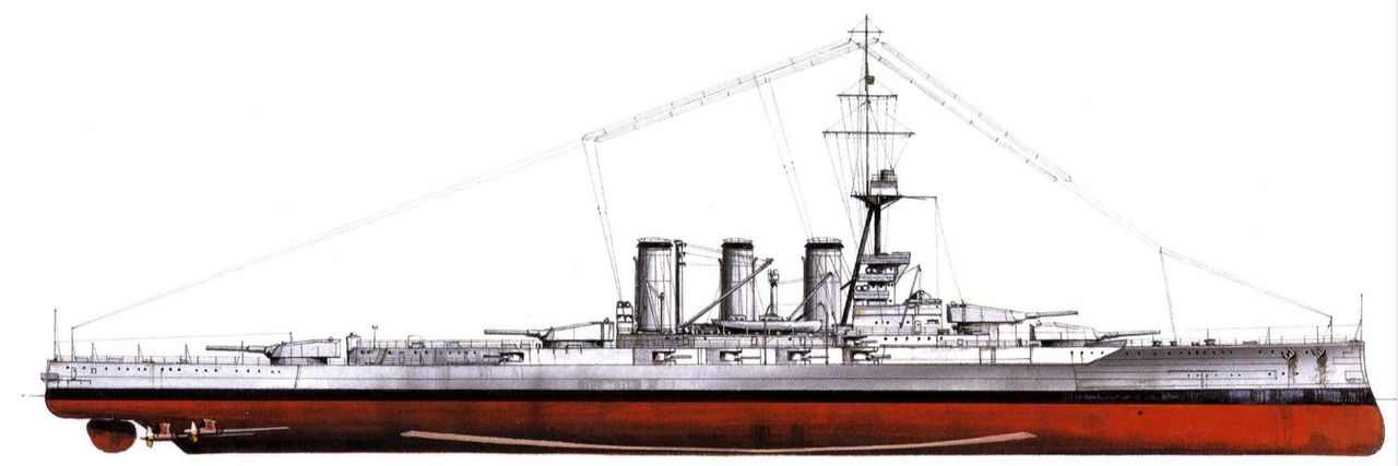 Hình dáng của Tiger