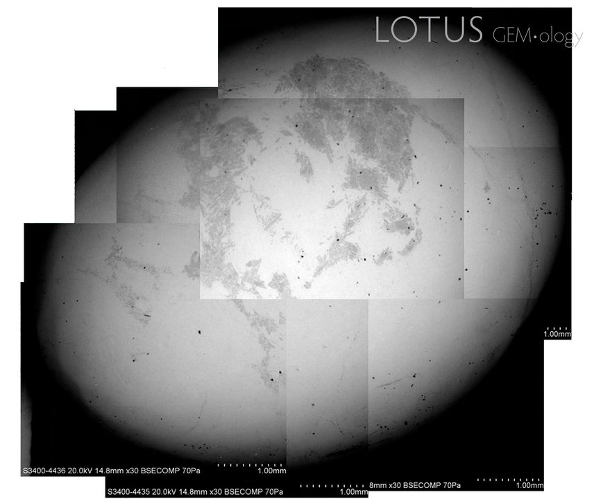 Hình 2. Ảnh điện tử tán xạ ngược (BSE) của mẫu ngọc bích Fei Cui. Vùng sáng là omphacite, vùng tối là jadeite.Trái: Toàn bộ mẫu ngọc bích Fei Cui.Phải: Ảnh phóng đại của cùng mẫu vật cho thấy sự pha trộn phức tạp của omphacite và jadeite ở quy mô rất nhỏ. Ảnh do Edward Liu cung cấp