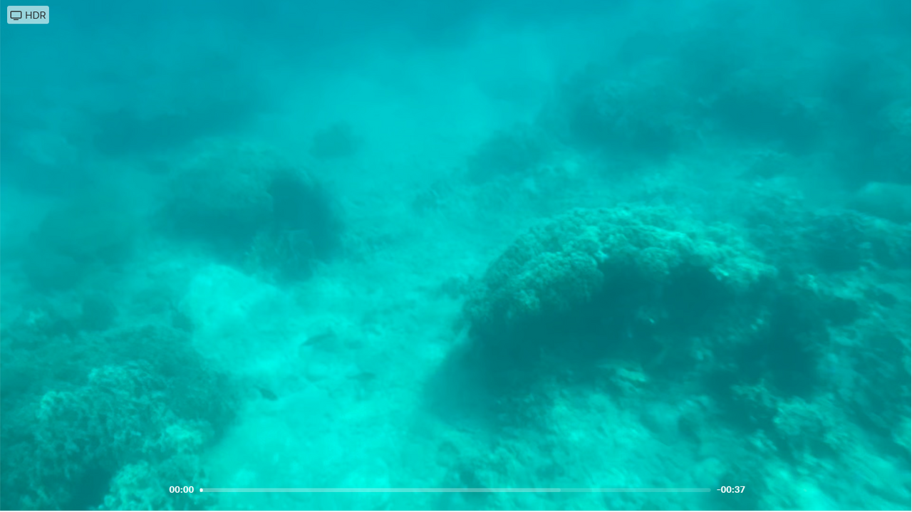 Lại cap ảnh san hô từ clip được quay bởi điện thoại để trong cái túi chống nước