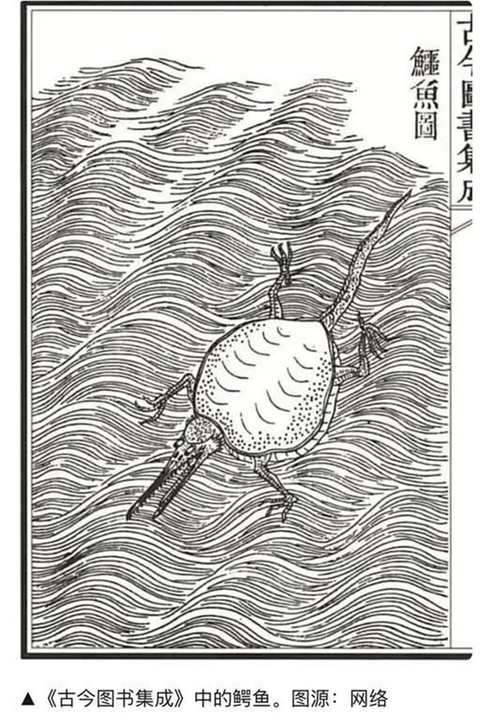 <i>Minh họa cá sấu trong sách "Cổ kim đồ thư tập thành" nhà Thanh (1725), có thể thấy họa sĩ đã lai ghép đặc điểm của cá sấu (mõm dài) với giải (có mai)</i>