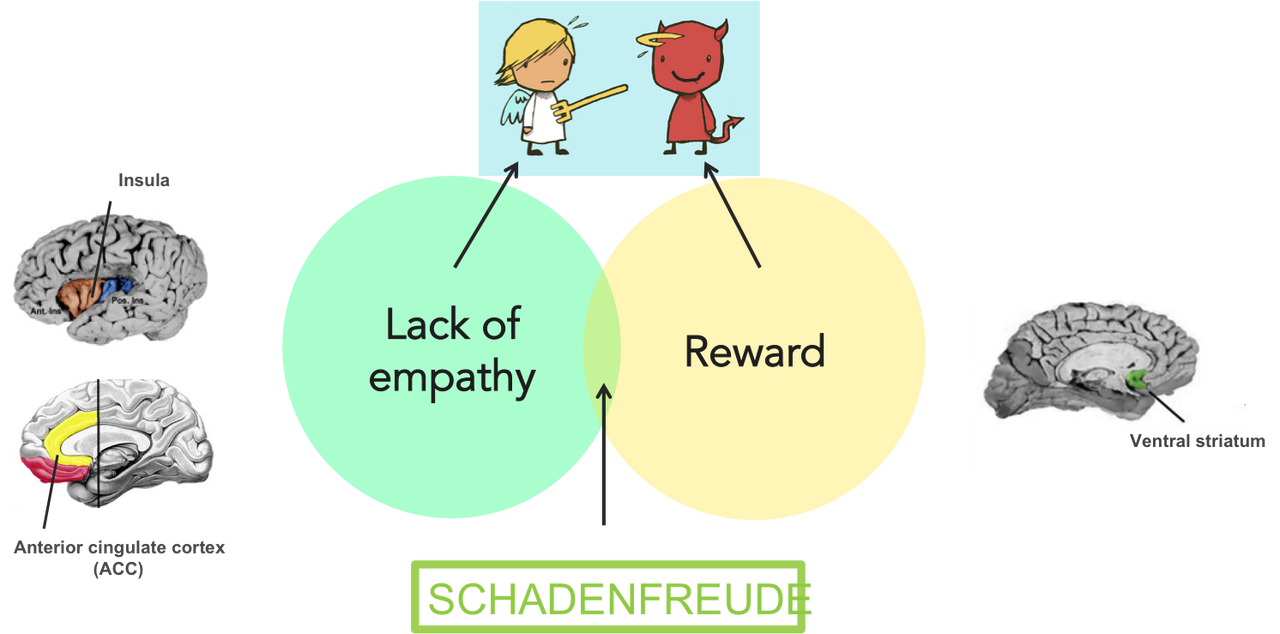 Nguồn: Emotion, Brain, &amp; Behavior Laboratory