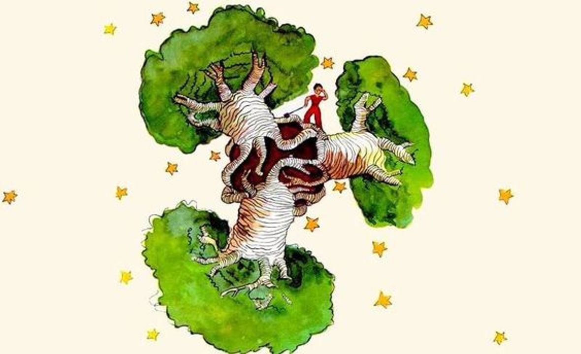 <i>Những cây bao báp to lớn</i>