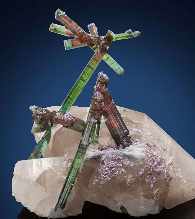 “Hoa Pederneira” — đá tourmaline trên thạch anh với lepidolite và cleavelandite từ Mỏ Pederneira, Brazil (Ước tính: 300.000 - 500.000 đô la).