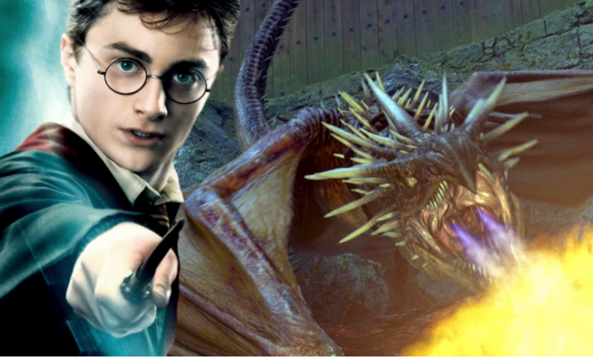 Hungarian Horntail với chiều dài khoảng 40 feet (hơn 12 mét) và sải cánh 70 feet (hơn 21 mét).