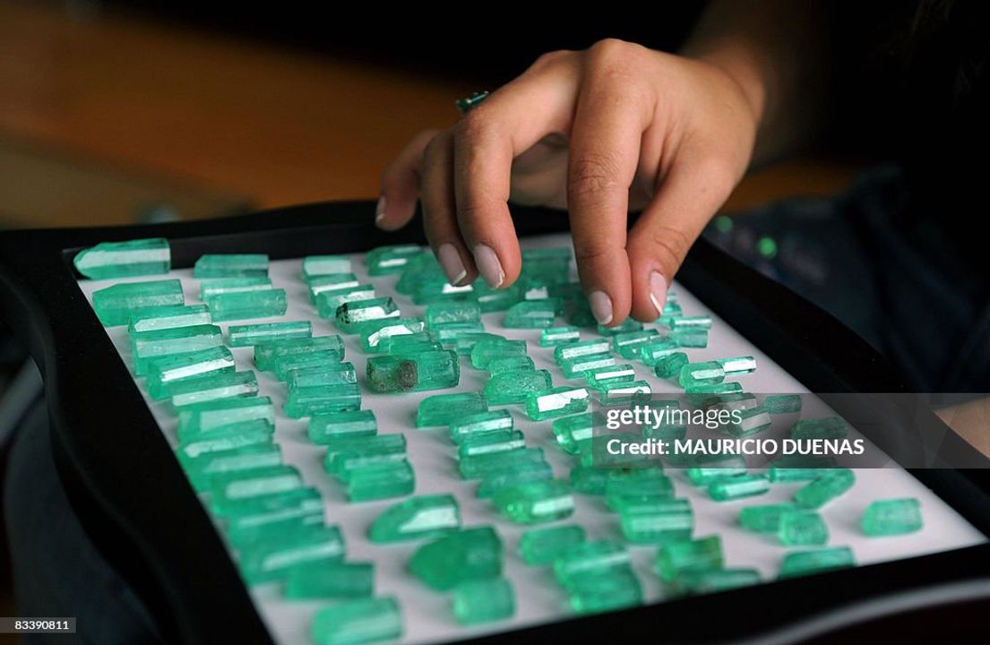Một người phụ nữ đang sắp xếp những viên ngọc lục bảo thô của Colombia để trưng bày tại Bảo tàng Ngọc lục bảo Quốc tế ở Bogota vào ngày 22 tháng 10 năm 2008. Bảo tàng, sẽ được khánh thành vào ngày 23 tháng 10, trưng bày khoảng 3.000 viên ngọc lục bảo được thu thập trong 30 năm qua tại các mỏ ngọc lục bảo khác nhau. ẢNH AFP/Mauricio DUENAS (Nguồn ảnh: MAURICIO DUENAS/AFP qua Getty Images)