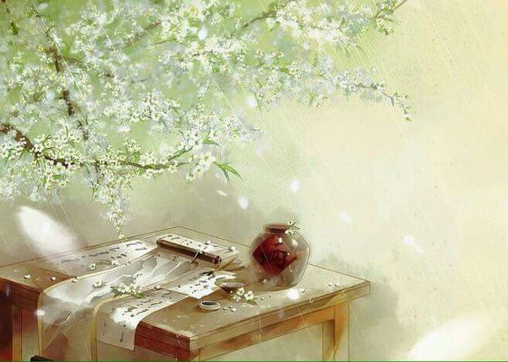 Nguồn ảnh: <a href="https://www.pinterest.com/pin/689402655486847512/">Pinterest.com</a>