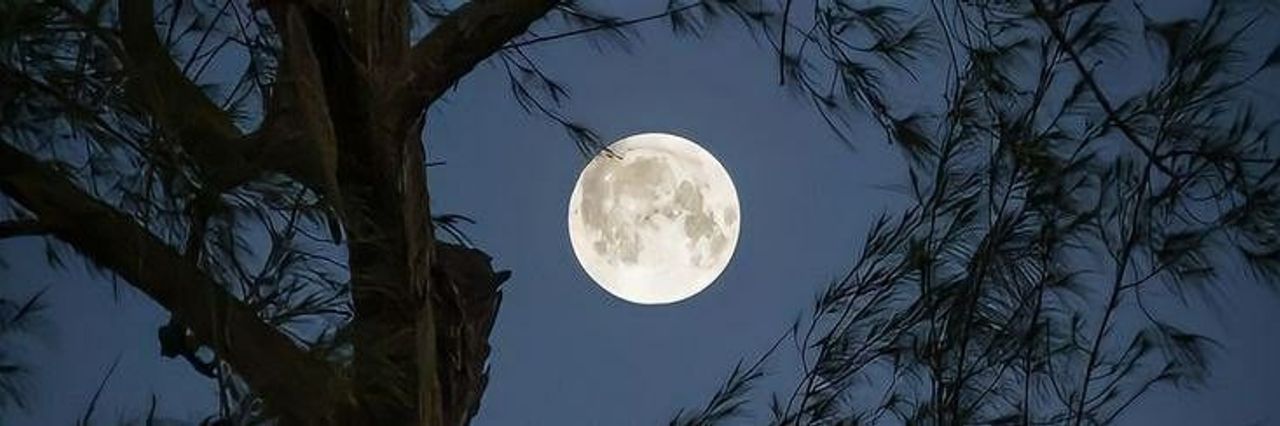 Nguồn ảnh: <a href="https://pin.it/4jXh5DuRc">pinterest.com</a>