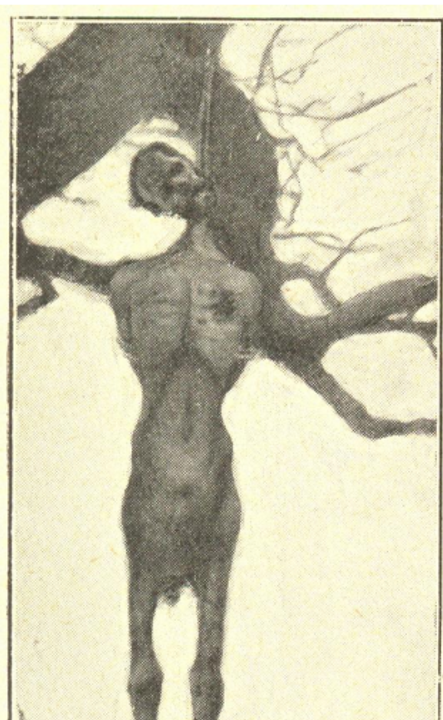 Người Kaffa bị hành quyết