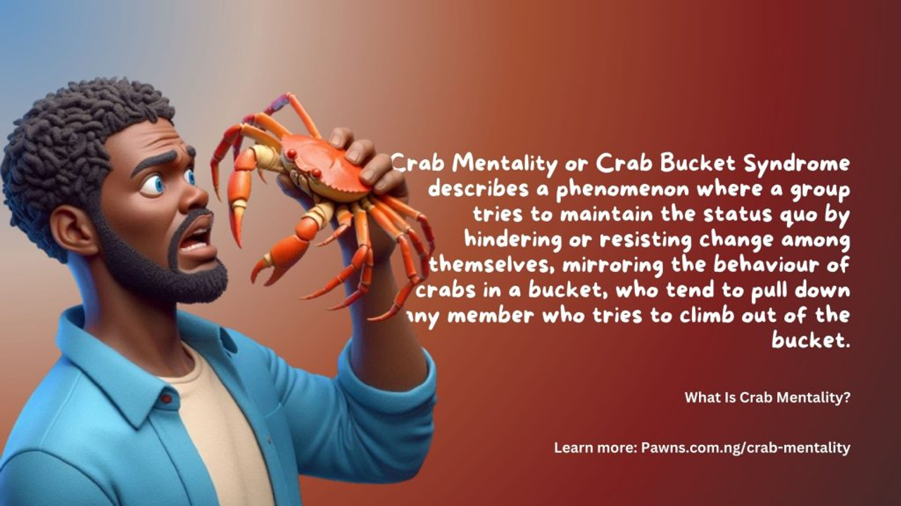 Những "con cua" ngoài đời thực không dùng càng để kéo, chúng dùng những công cụ tinh vi hơn