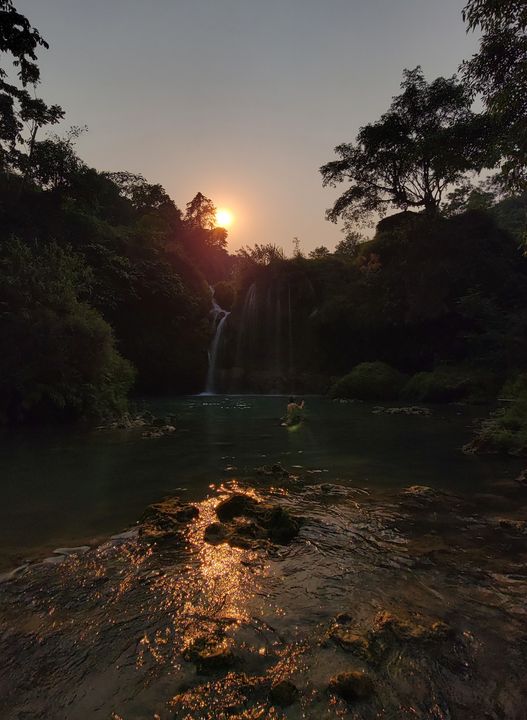 <i>Tịch dương ló qua tán cây</i>