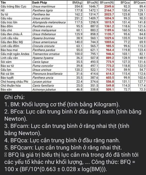 Lực cắn của các loài ăn thịt