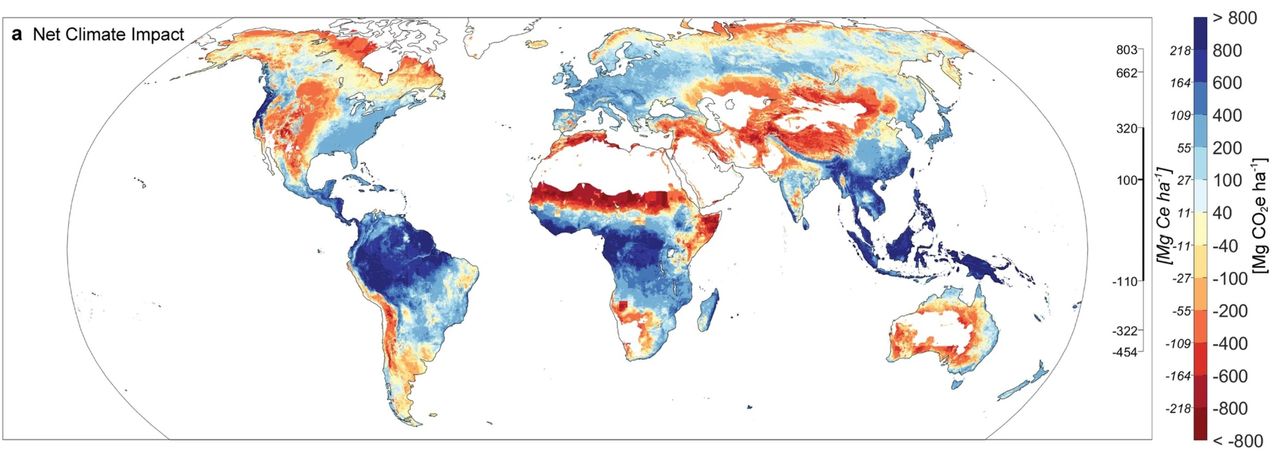 Việc trồng cây ở Việt Nam luôn làm mát môi trường. <i>Nguồn ảnh: <a href="https://www.nature.com/articles/s41467-024-46577-1/figures/1">Nature</a></i>
