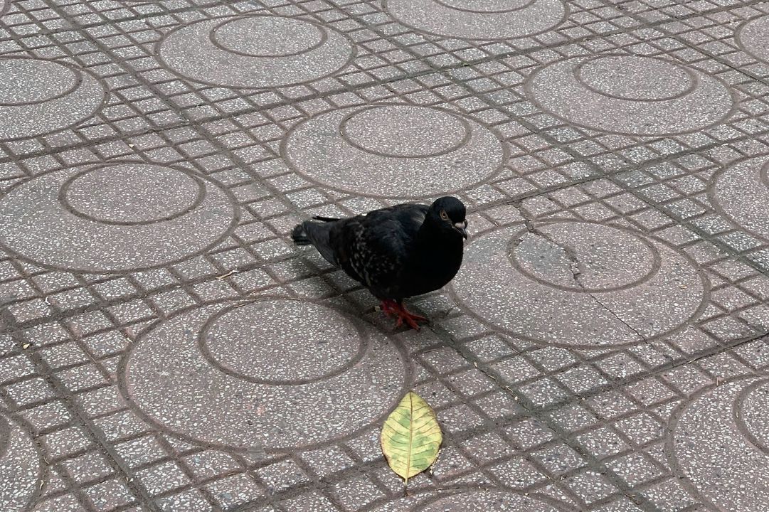 Đố biết đây là đâu