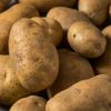 npotatosuppliers
