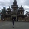 tranhaidong