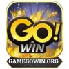 gamegowinorg2