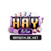 haywinuknet1