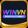 winvncymru