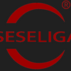 Seseliga