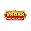 vnd88work