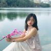 vanlinh16703