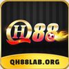 QH88laborg