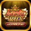 Luckywinjpnet